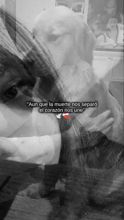 El corazón nos une
