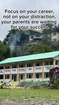 Career 