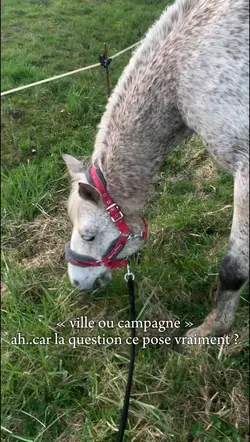 L’hymne de nos campa