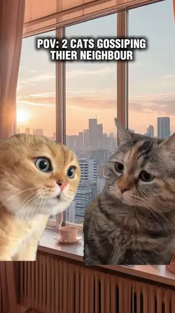Talking cat