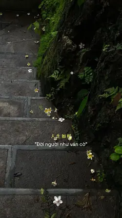 Đời người như ván cờ