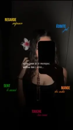 les 5 sens