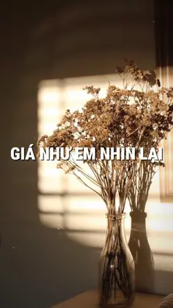 GIÁ NHƯ EM NHÌN LẠI