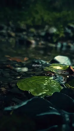 nature