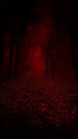 Dark Shadows
No:4