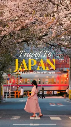 Travel To Japan