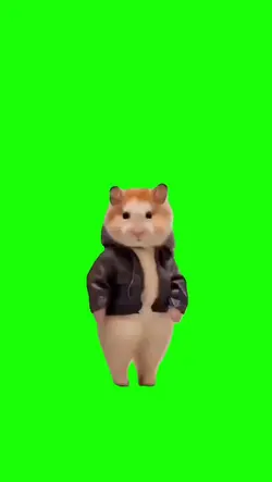 HAMSTER JOGET
