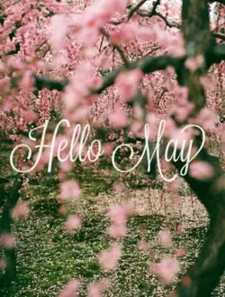 Hello may
