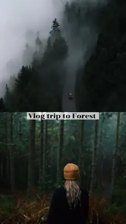 Vlog trip to Forest