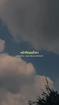 หน้าที่ของน้ำตา