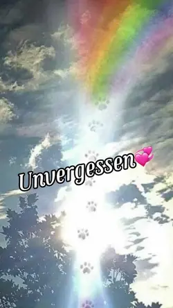 Es ist immer zu früh