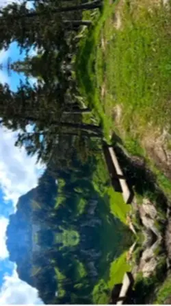 Mini vlog