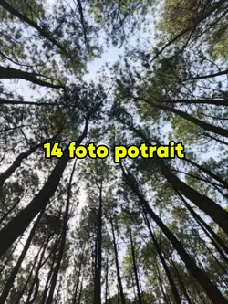 14 foto potrait
