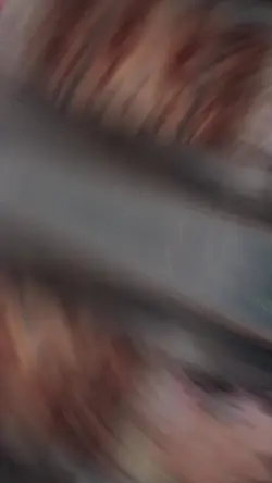 Mẫu 5 ảnh