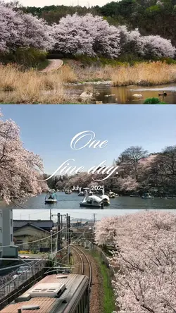 One fine day