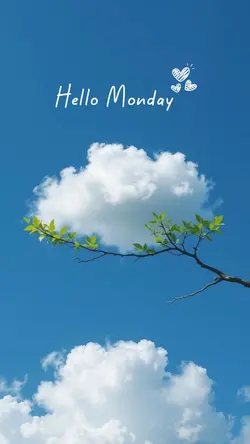 Hello Monday