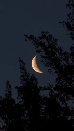 Gece