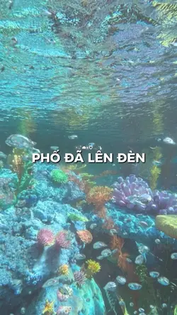Phố đã lên đèn
