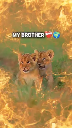 Brothers Template 
