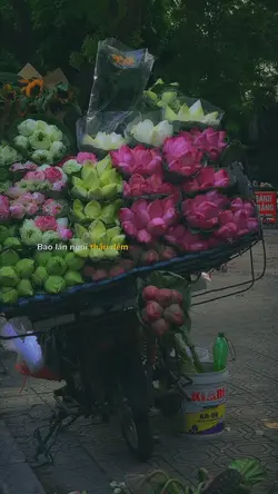 Bao nhiêu thương nhớ