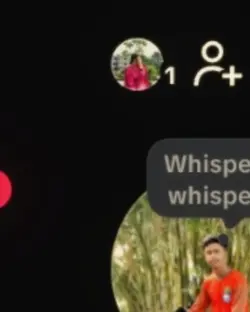 profile viewers??