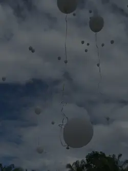 Valeu menor