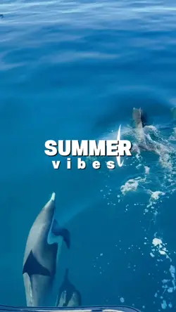 summer vibes