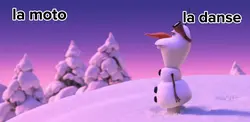 Olaf trend