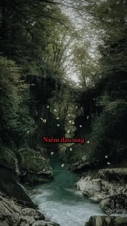 Anh Đã Loop