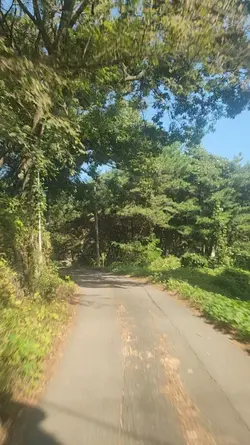 추억