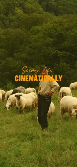 Cinematics