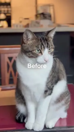 Before-after