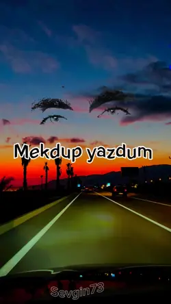 yeni şablon 