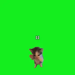 Kicau Mania 1:1