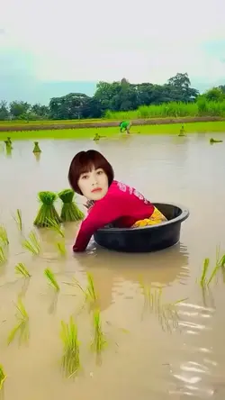 Ghép mặt