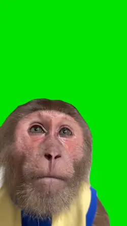 Macaco triste 