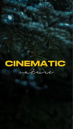 8 Clips Videos
