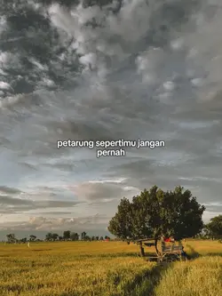 petarung sepertimu