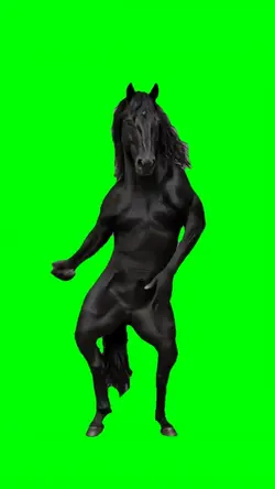 HORSE DANCE
