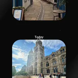 Camera roll
