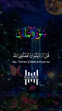 quran Recitation 