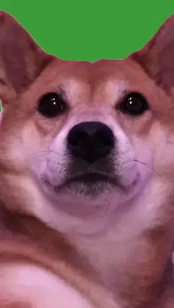 Winnie wait