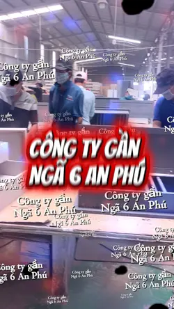 Công việc 6