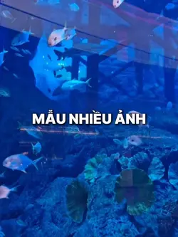 1video + 29ảnh