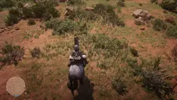 Red dead
