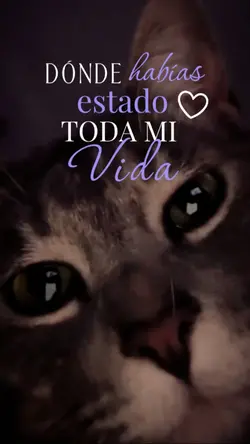 Dónde habías estado?