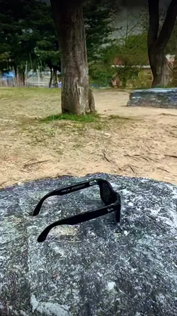 360 view