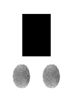 Fingerprint trend