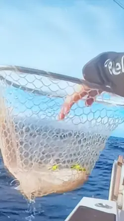 gone fishing 