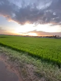 Khổ thiệt chứ